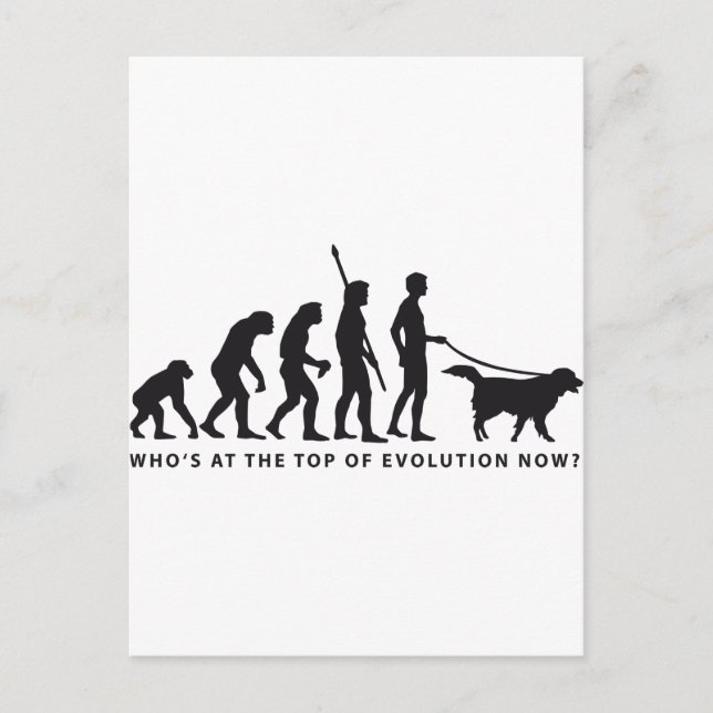 Cartão Postal cão evolução (Frente)
