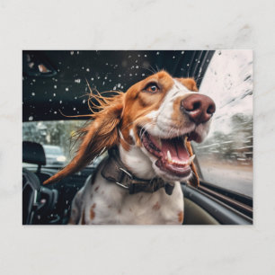 Cartão Postal Cão excitado na Impressão de Arca Chuvosa