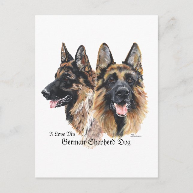 Cartão Postal Cão german shepherd (Frente)