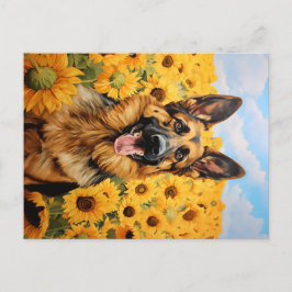 Cartão Postal cão german shepherd nos girassóis