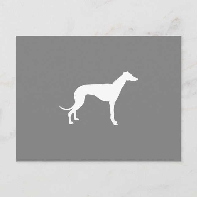 Cartão Postal Cão Greyhound (Frente)