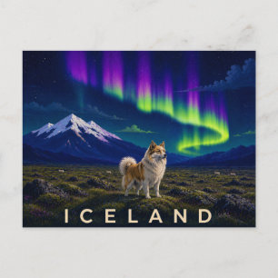 Cartão Postal Cão Islandês sob a Aurora   Icônico Isl