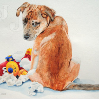 Cartão Postal cão mestiço com cachorrinho ursinho fofo