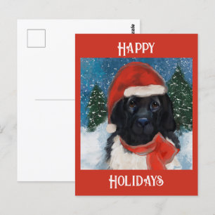 CARTÃO POSTAL CÃO NEWFOUNDLAND