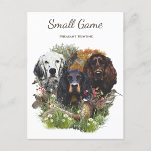 Cartão Postal Cão-pássaro, caça faisão
