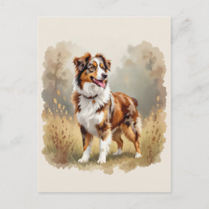 Cartão Postal Cão pastor australiano Red Merle Aussie
