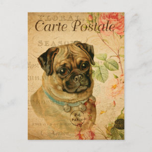 Cartão Postal Cão Pug Vintage Floral Francês Carte Postale