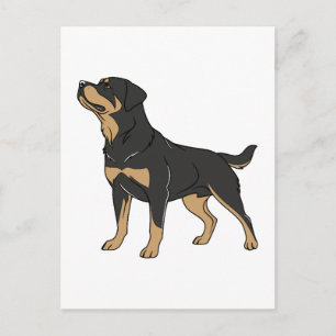 Cartão Postal Cão Rottweiler, Cão Rottweiler em Pé