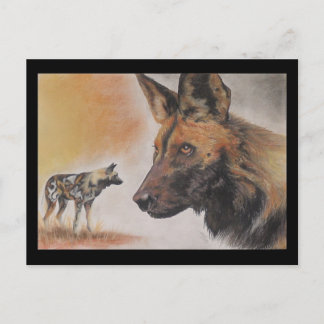 Cartão Postal Cão selvagem africano