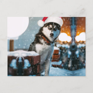 Cartão Postal Cão Siberiano Husky vestindo chapéu Santa