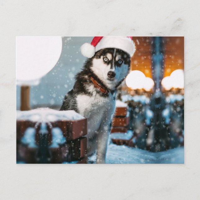 Cartão Postal Cão Siberiano Husky vestindo chapéu Santa (Frente)