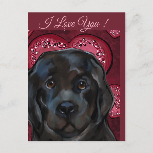 Cartão Postal Cão Terra Nova   (Frente)