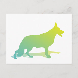 Cartão Postal Cão Verde