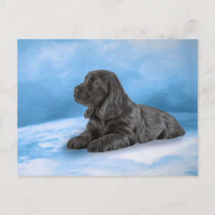 Cartão Postal Cãozinho de Cocker Spaniel Inglês