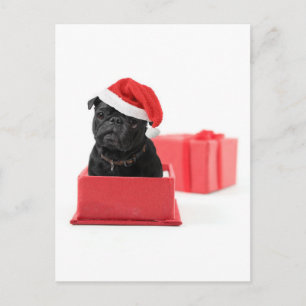 Cartão Postal Cãozinho preto presente ou presente