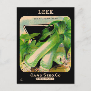 Cartão Postal Capa de envelope da Card Seed Company - alhos-porr