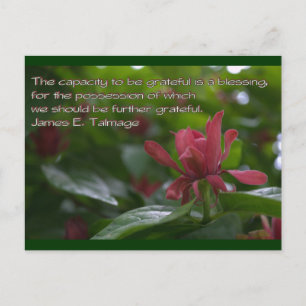 Cartão Postal capacidade grata