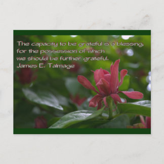 Cartão Postal capacidade grata