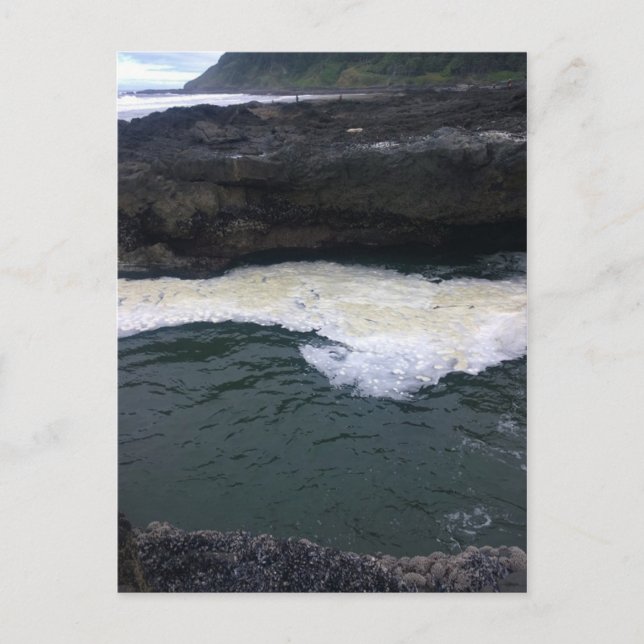 Cartão Postal Cape Perpetua, Costa do Oregon (Frente)