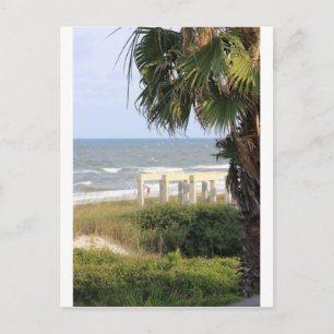 Cartão Postal Cape San Blas Ocean Sea Mermaid Salt  