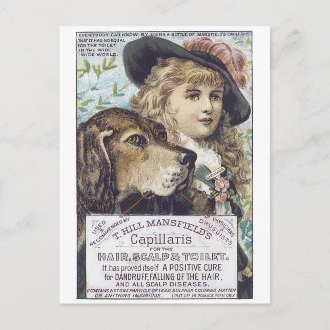 Cartão Postal Capilaris de Mansfields (Frente)