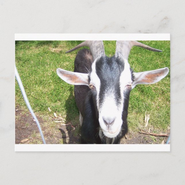 Cartão Postal Capim Antigo (Frente)