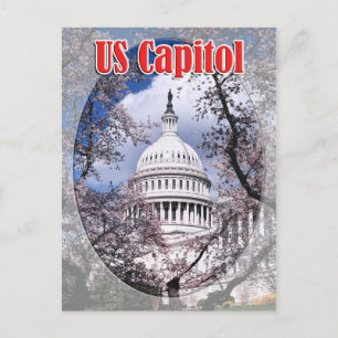 Cartão Postal Capitólio dos EUA com flores de cereja, Washington