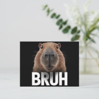 Capivara Engraçada Bruh 