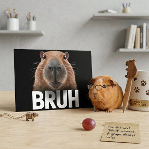 Cartão Postal Capivara Engraçada Bruh Meme Humor Animal Fofo