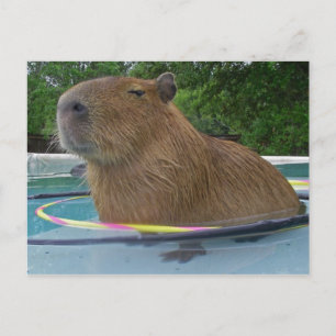 Cartão Postal Caplin Rous com Hoola Hoops