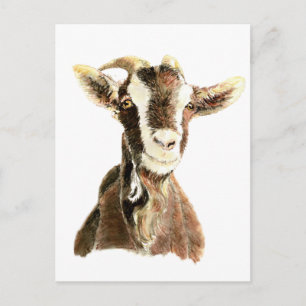 Cartão Postal Caprinos, Animais, Fazendas
