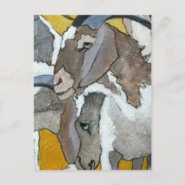 Cartão Postal Caprinos Cudddling (Frente)