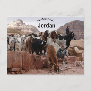 Cartão Postal Caprinos em Petra Jordan
