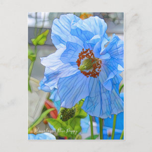 Cartão Postal Cápsula Azul Himalaia [Cartão Postal]