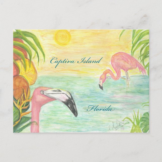 Cartão Postal Captiva Island Flamingos Florida Art (Frente)