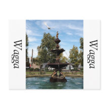 Captura de aves voando a partir da fonte