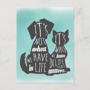 Cartão Postal Capturas de Melhores Amigos de Gato e Cachorro