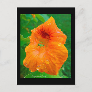 Cartão Postal Capucina