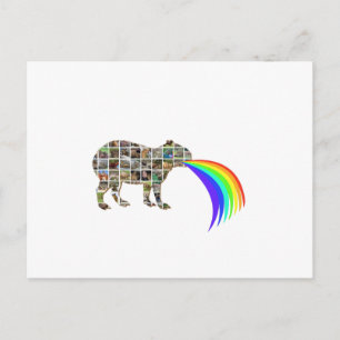 Cartão Postal Capybara a barrar um arco-íris