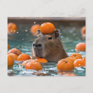 Cartão Postal Capybara com Laranjas Flutuantes