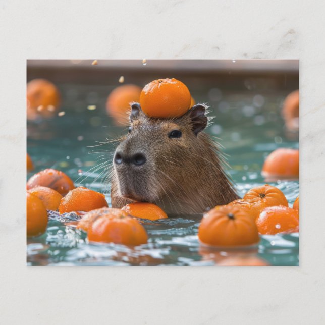 Cartão Postal Capybara com Laranjas Flutuantes (Frente)