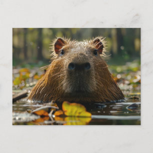 Cartão Postal Capybara em Autumn Wetlands