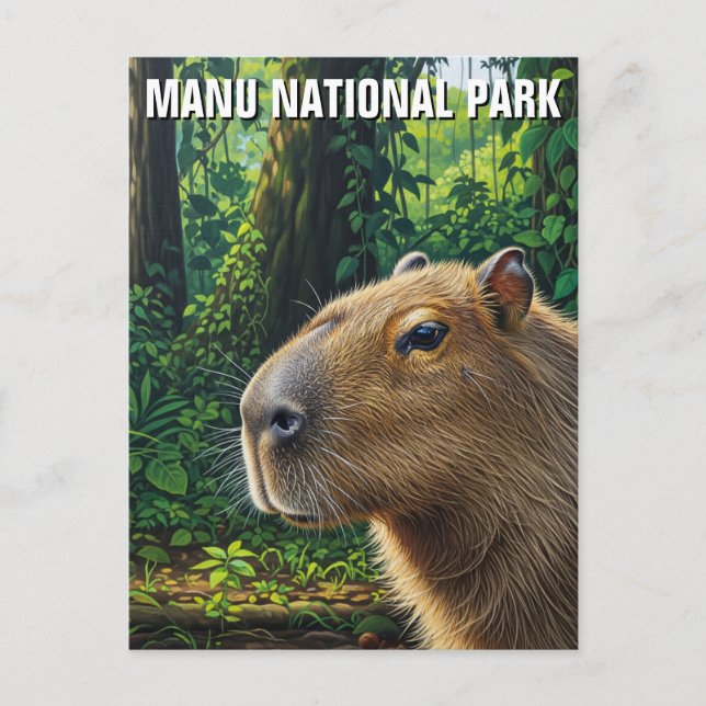 Cartão Postal Capybara no Parque Nacional de Manu, Peru (Frente)