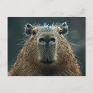 Cartão Postal Capybara Portrait de Fechamento