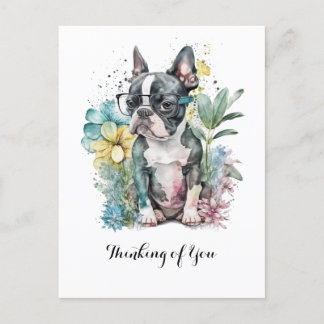Cartão Postal Cara "Boston" Relaxada Óculos de Cachorrinho Bosto