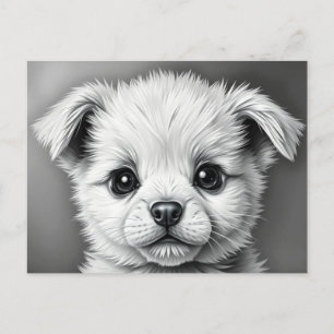 Cartão Postal Cara de Cachorrinho Fofo Ilustração Preto e Branco