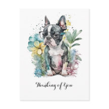 Cara de descanso "Boston" Óculos de Cachorrinho Bo