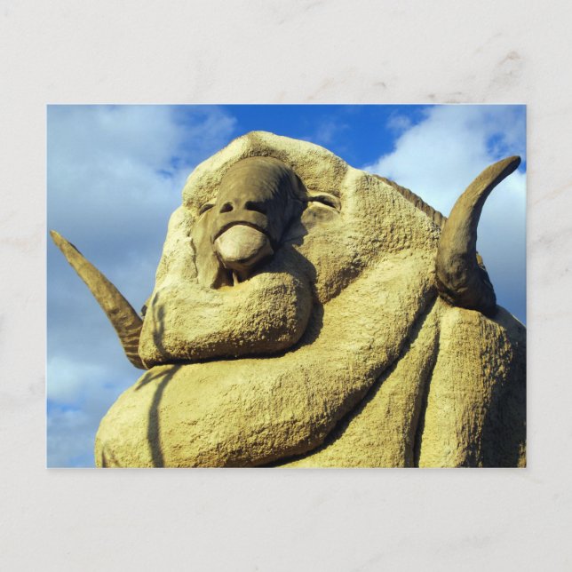 Cartão Postal cara grande de merino (Frente)