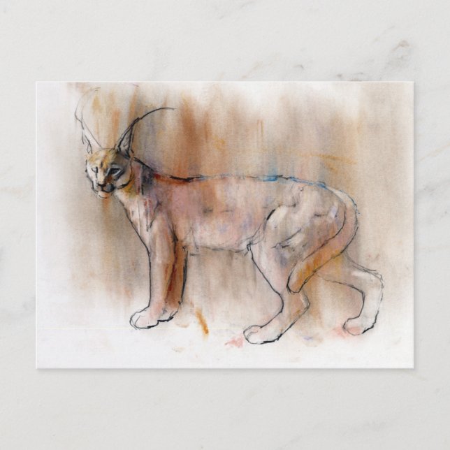 Cartão Postal Caracal Árabe 2009 (Frente)