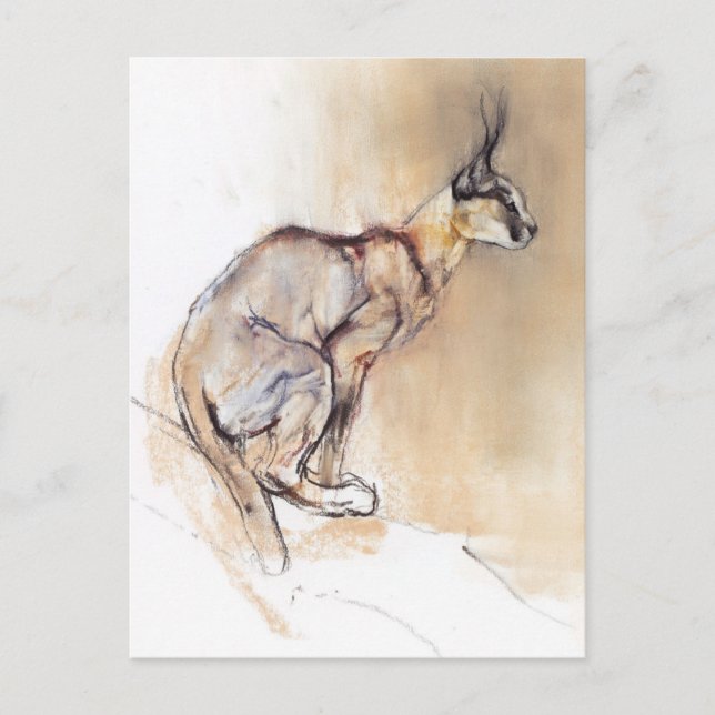 Cartão Postal Caracal sentado 2009 (Frente)